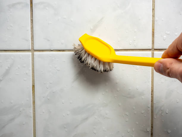 Best Mold Remediation Experts  in Kealakekua, HI