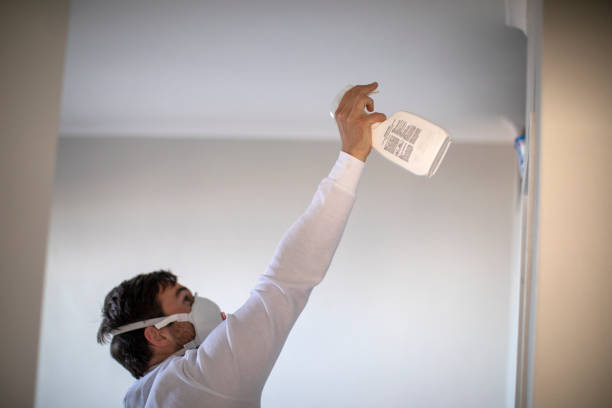Professional Mold Removal in Kealakekua, HI