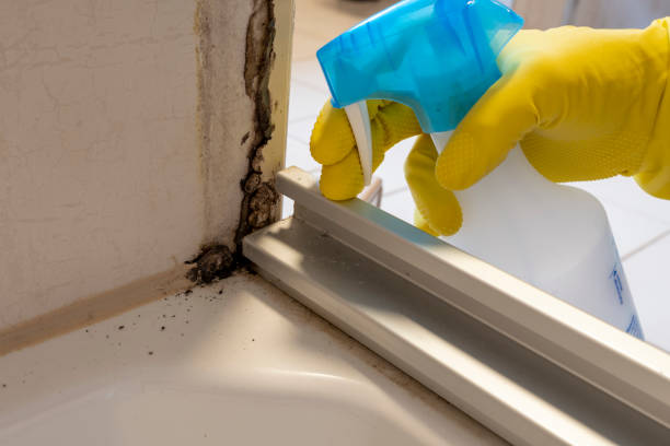 Best Crawl Space Mold Removal  in Kealakekua, HI