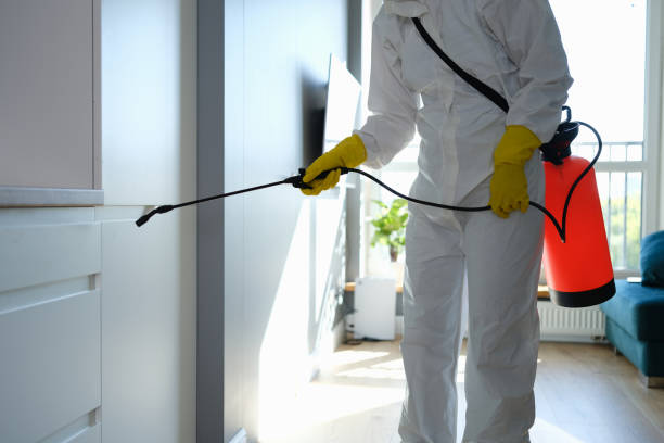 Best Toxic Mold Removal  in Kealakekua, HI